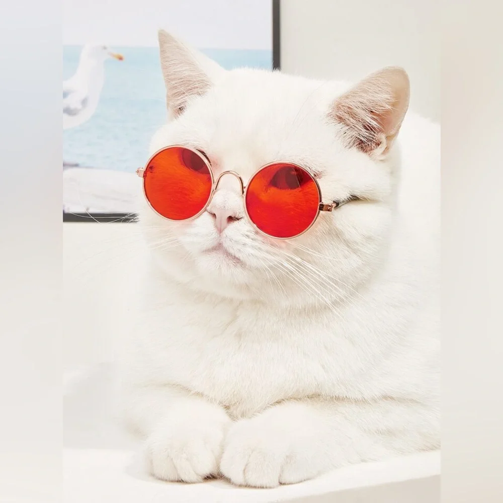 1 Pair Tinted Lens Pet Glasses - Red | Small Dogs | Cats